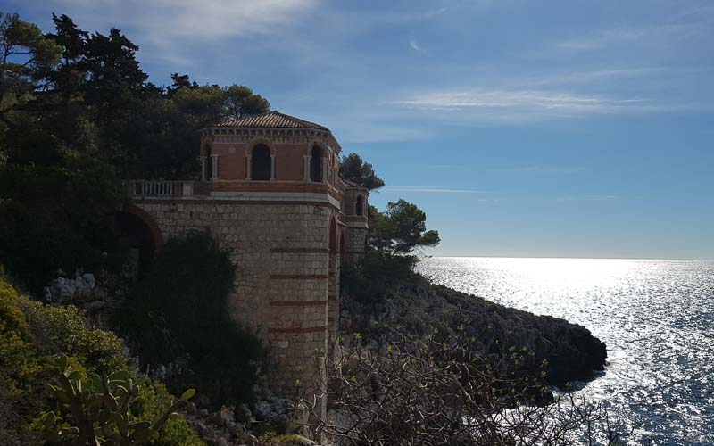 rb_raimann_dwablum-6 Wandern an der Blumenriviera mit Isabella Raimann 8