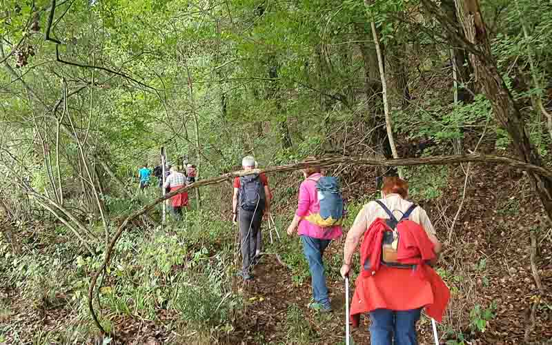 rb_stöckli_RH270-14 Weinwandern in der Südtoskana mit Silvia Stöckli 17
