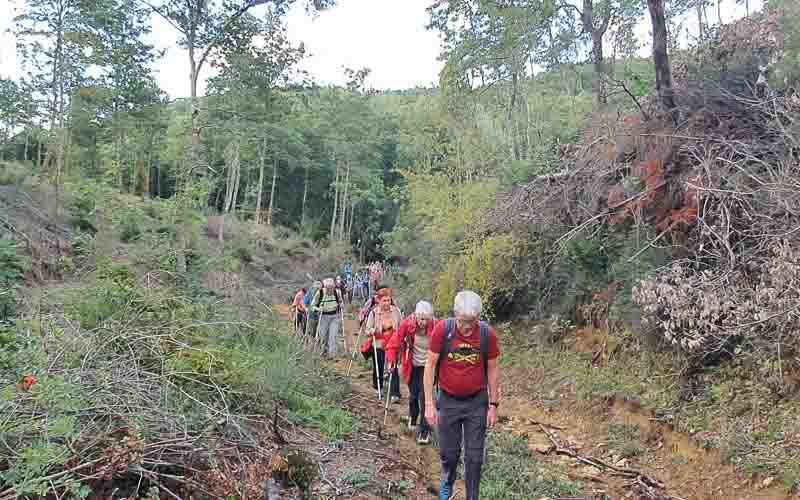 rb_stöckli_RH270-15 Weinwandern in der Südtoskana mit Silvia Stöckli 18