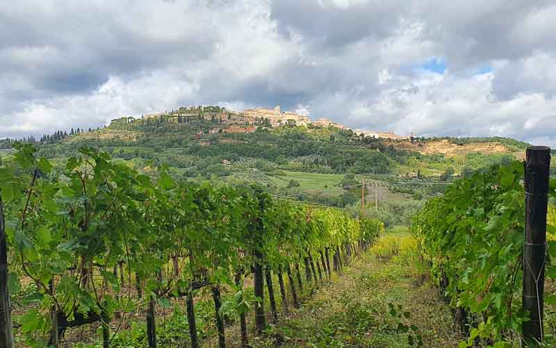 rb_stöckli_RH270-17 Weinwandern in der Südtoskana mit Silvia Stöckli 20