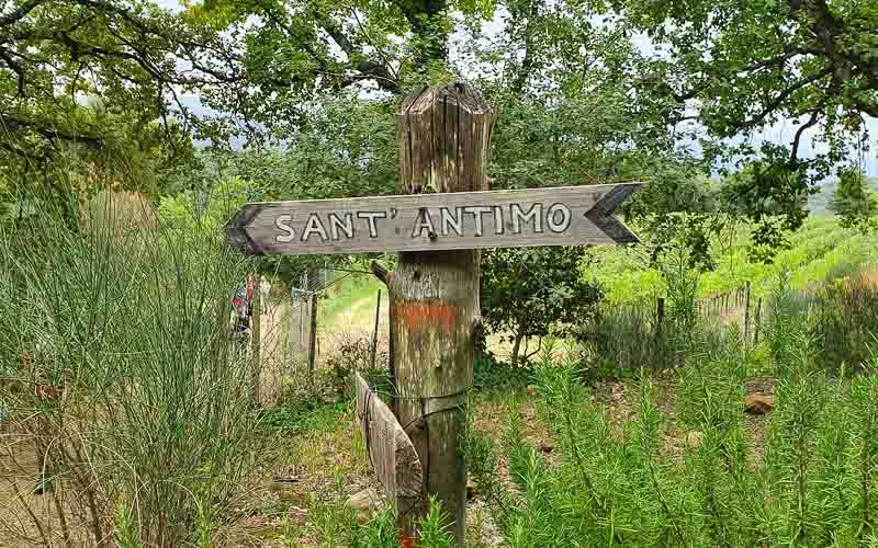 rb_stöckli_RH270-28 Weinwandern in der Südtoskana mit Silvia Stöckli 31