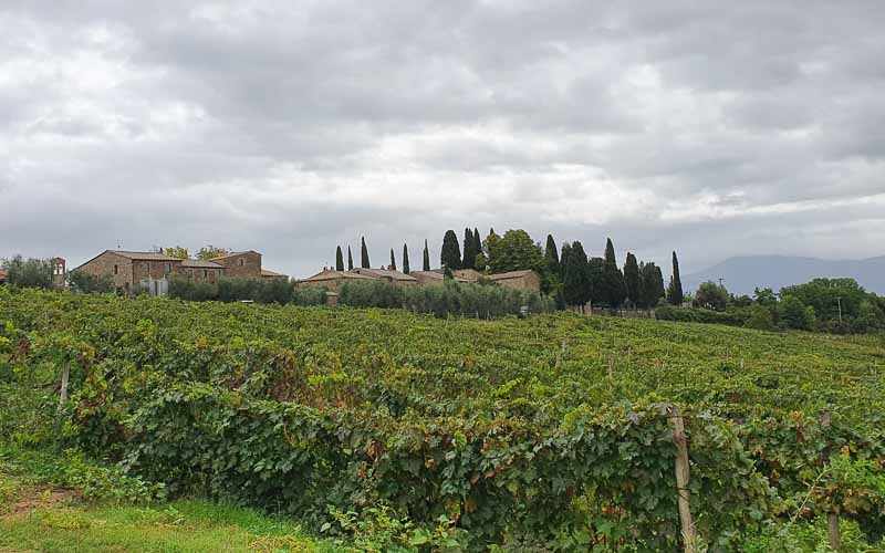 rb_stöckli_RH270-29 Weinwandern in der Südtoskana mit Silvia Stöckli 32