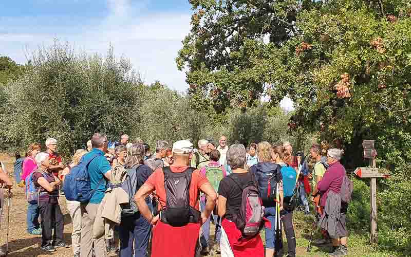 rb_stöckli_RH270-3 Weinwandern in der Südtoskana mit Silvia Stöckli 6