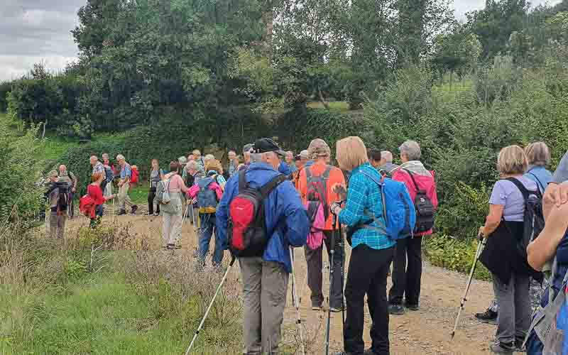 rb_stöckli_RH270-33 Weinwandern in der Südtoskana mit Silvia Stöckli 36