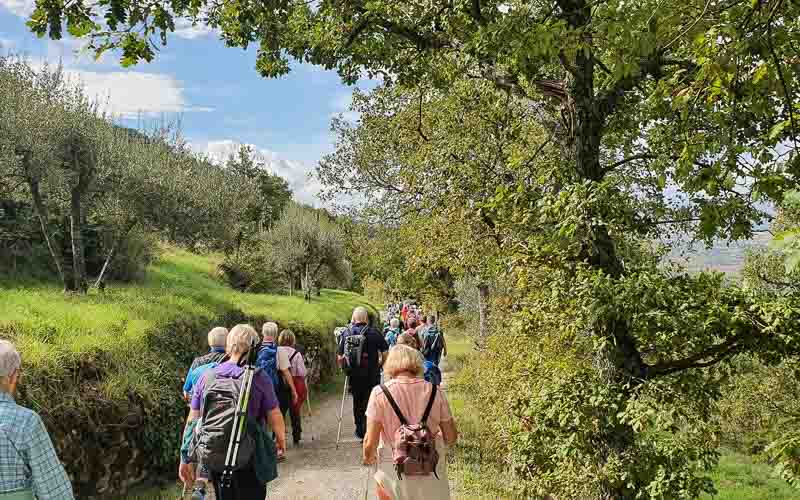 rb_stöckli_RH270-39 Weinwandern in der Südtoskana mit Silvia Stöckli 42