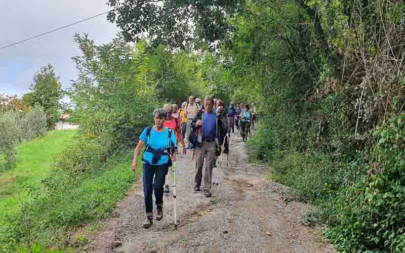 rb_stöckli_RH270-40 Weinwandern in der Südtoskana mit Silvia Stöckli 43