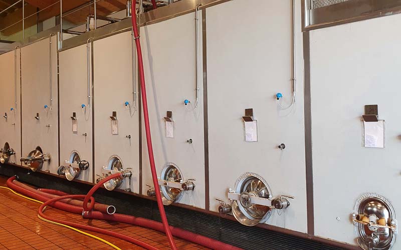 rb_stöckli_RH270-50 Weinwandern in der Südtoskana mit Silvia Stöckli 53