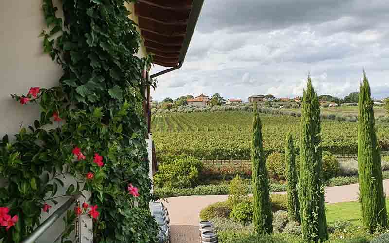 rb_stöckli_RH270-52 Weinwandern in der Südtoskana mit Silvia Stöckli 55