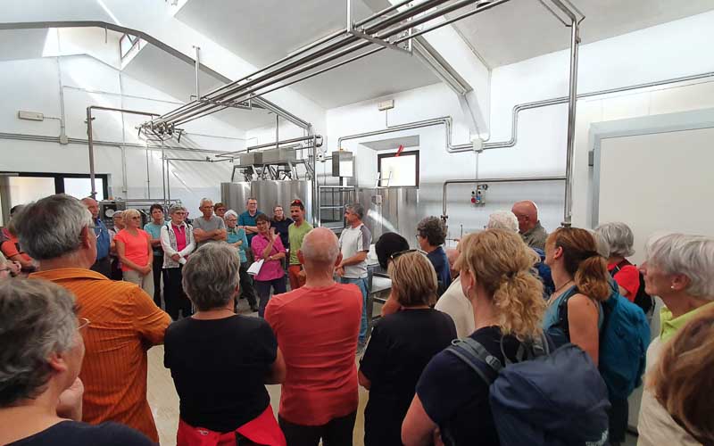 rb_stöckli_RH270-6 Weinwandern in der Südtoskana mit Silvia Stöckli 9