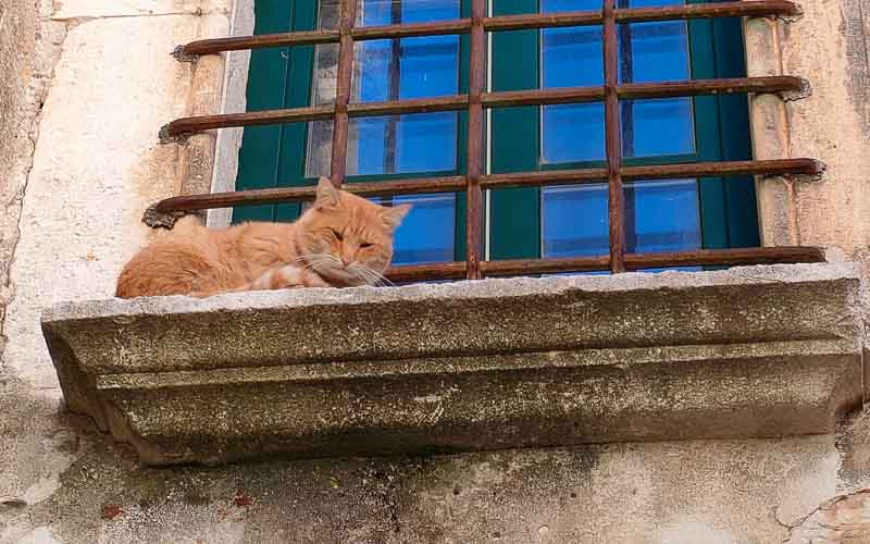 rb_ Scalenghe_RH212-3 Fantastisches Kroatien mit Cornelia Scalenghe 6