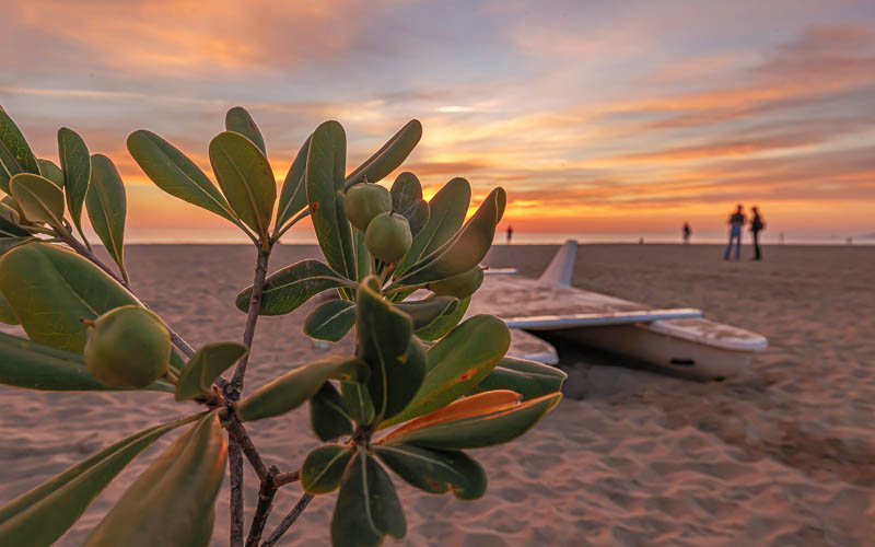 rb_Frauchig_RH136-11 Wandern in den Cinque Terre mit Daniel Frauchiger 13