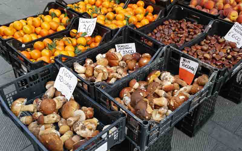 rb_Frauchig_RH136-41 Wandern in den Cinque Terre mit Daniel Frauchiger 43