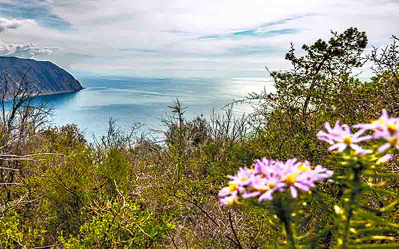 rb_Frauchig_RH136-7 Wandern in den Cinque Terre mit Daniel Frauchiger 9