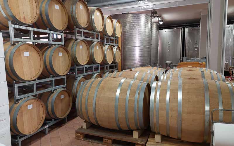 rb_Wunderlich_RH311-11 Vom Berner Oberland ans Mittelmeer mit Steffy Wunderlich 14