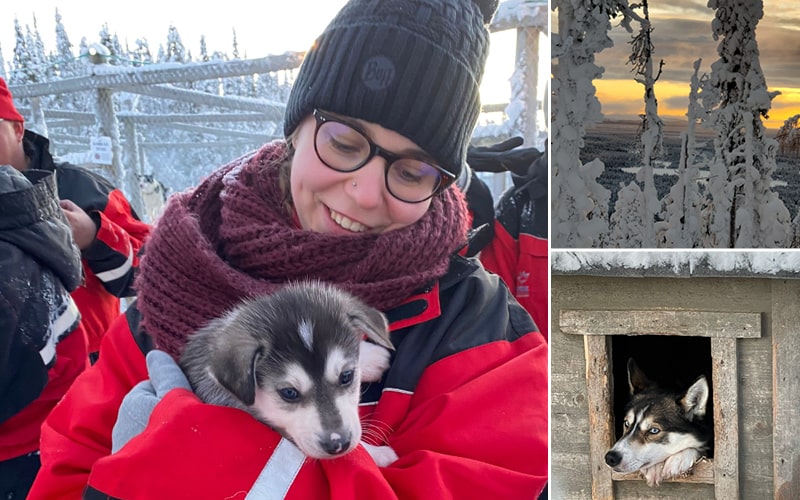 Wintertraum Lappland mit Karin Bösch 6