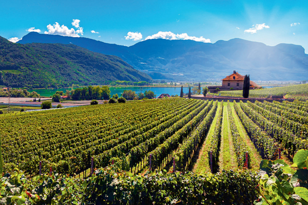 Schnupperwandertage - Südtirol 92