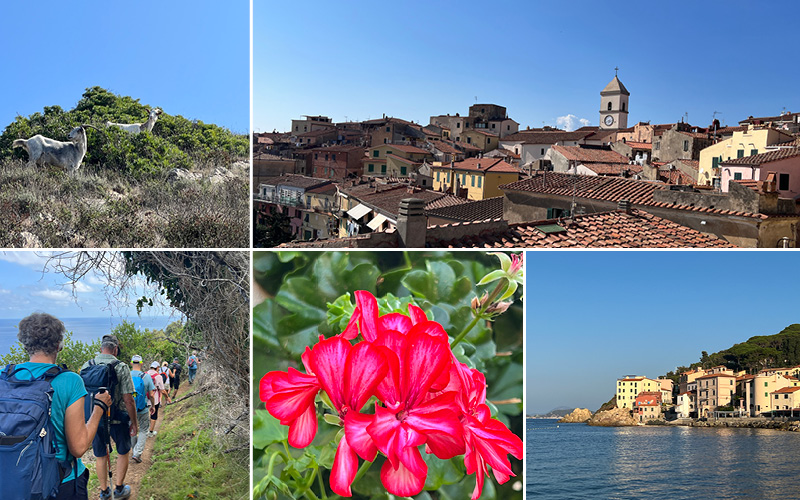 Wandern in Elba mit René Meyer 8