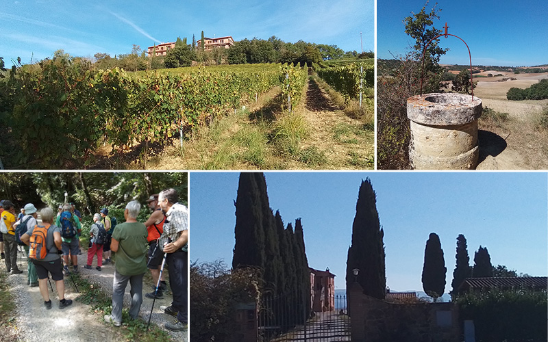 Weinwandern in der Südtoskana mit Ernst Fischer 6