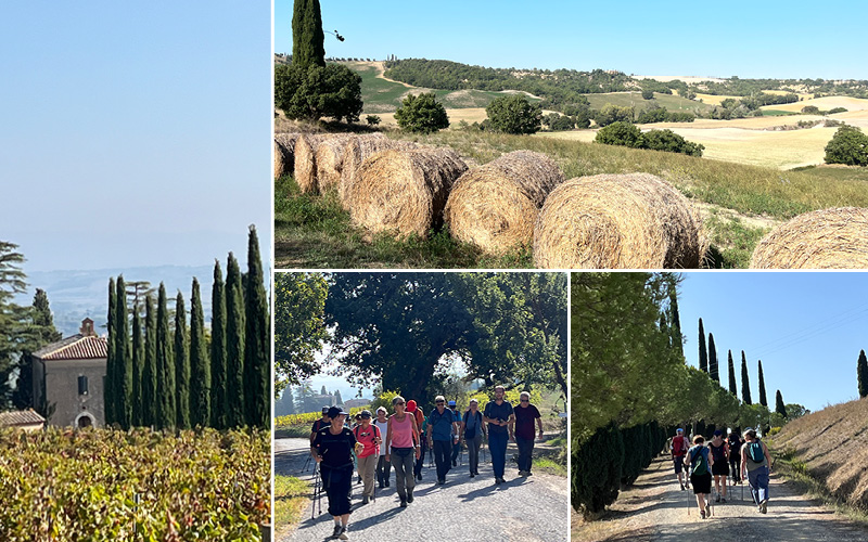 Weinwandern in der Südtoskana mit Esther Rentsch 4