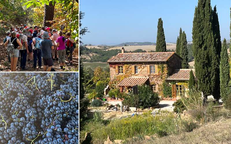 Weinwandern in der Südtoskana mit Esther Rentsch 5