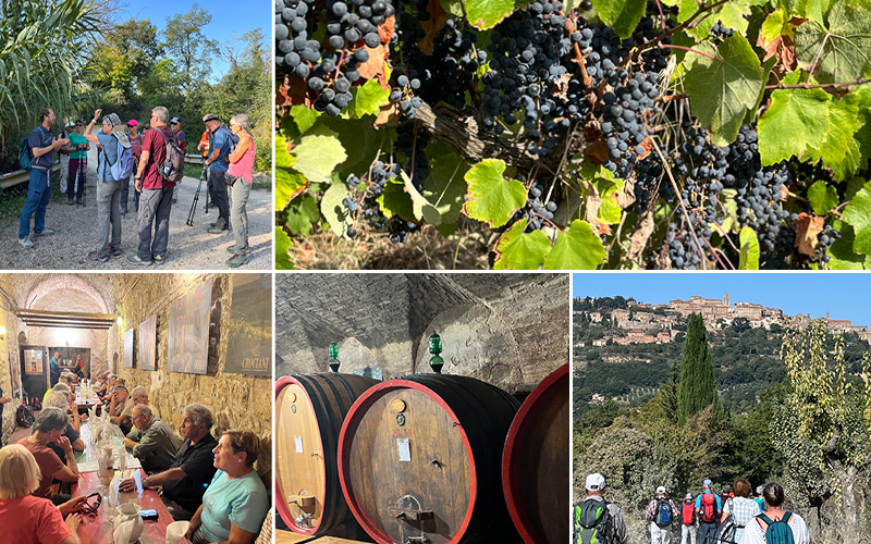 Weinwandern in der Südtoskana mit Esther Rentsch 7