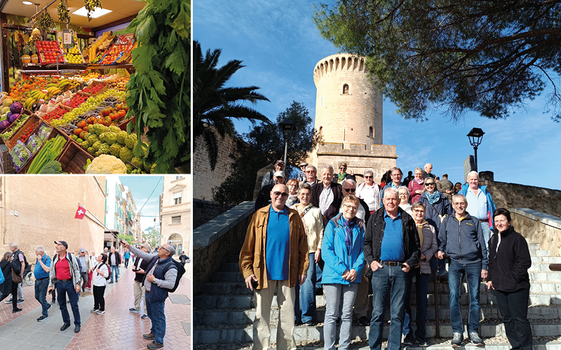 Mandelblüte auf Mallorca mit Dario del Monaco 4