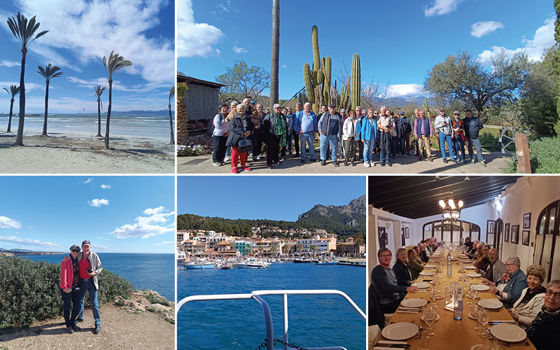 Mandelblüte auf Mallorca mit Dario del Monaco 7