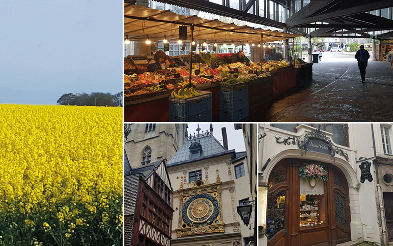 Apfelblüte in der Normandie mit Isabella Raimann 5