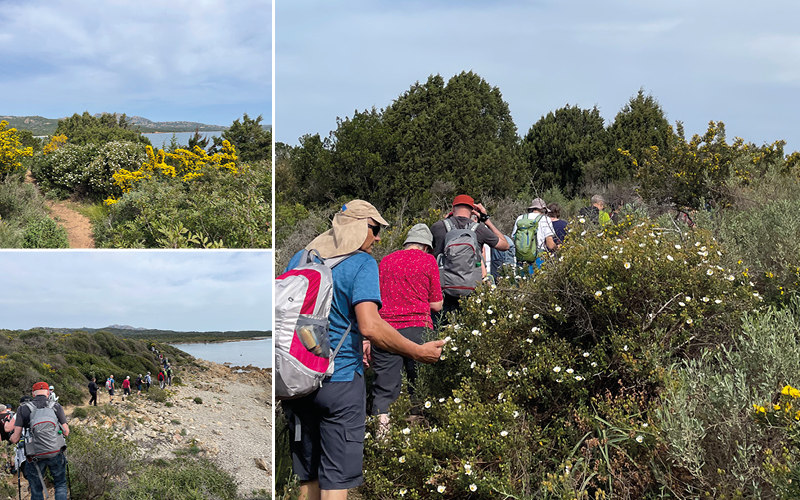 Küstenwandern auf Sardinien mit Ines Brändle 5