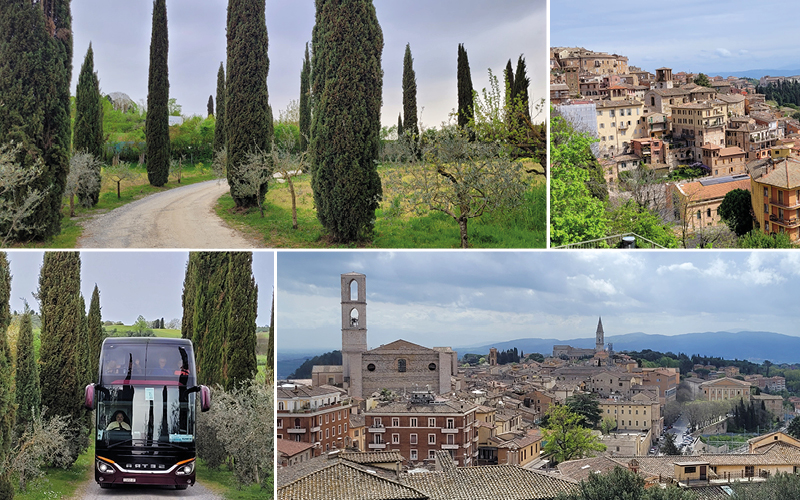 Siena, Rom & Assisi mit Susanne Godli 6