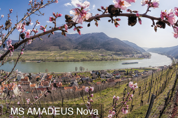 Frühlingsflussfahrt - Marillenblüte in der Wachau 15